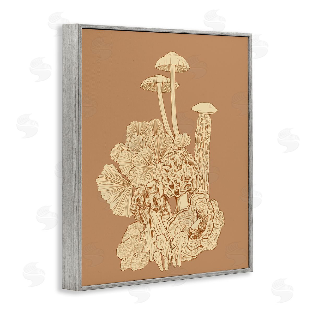 Ziwei Li Detailed Mushrooms Forest Flora Nature Plants Arrangement Gray Framed Giclee Wall Art Print