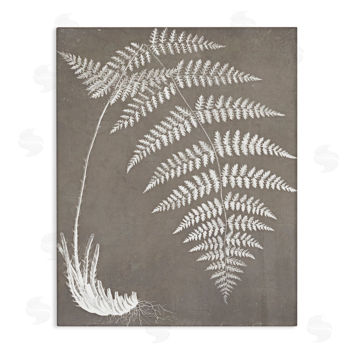 Graffitee Studios Fern Leaves Roots Growing Botanicals Neutral Tones Stretched Canvas Wall Art Print