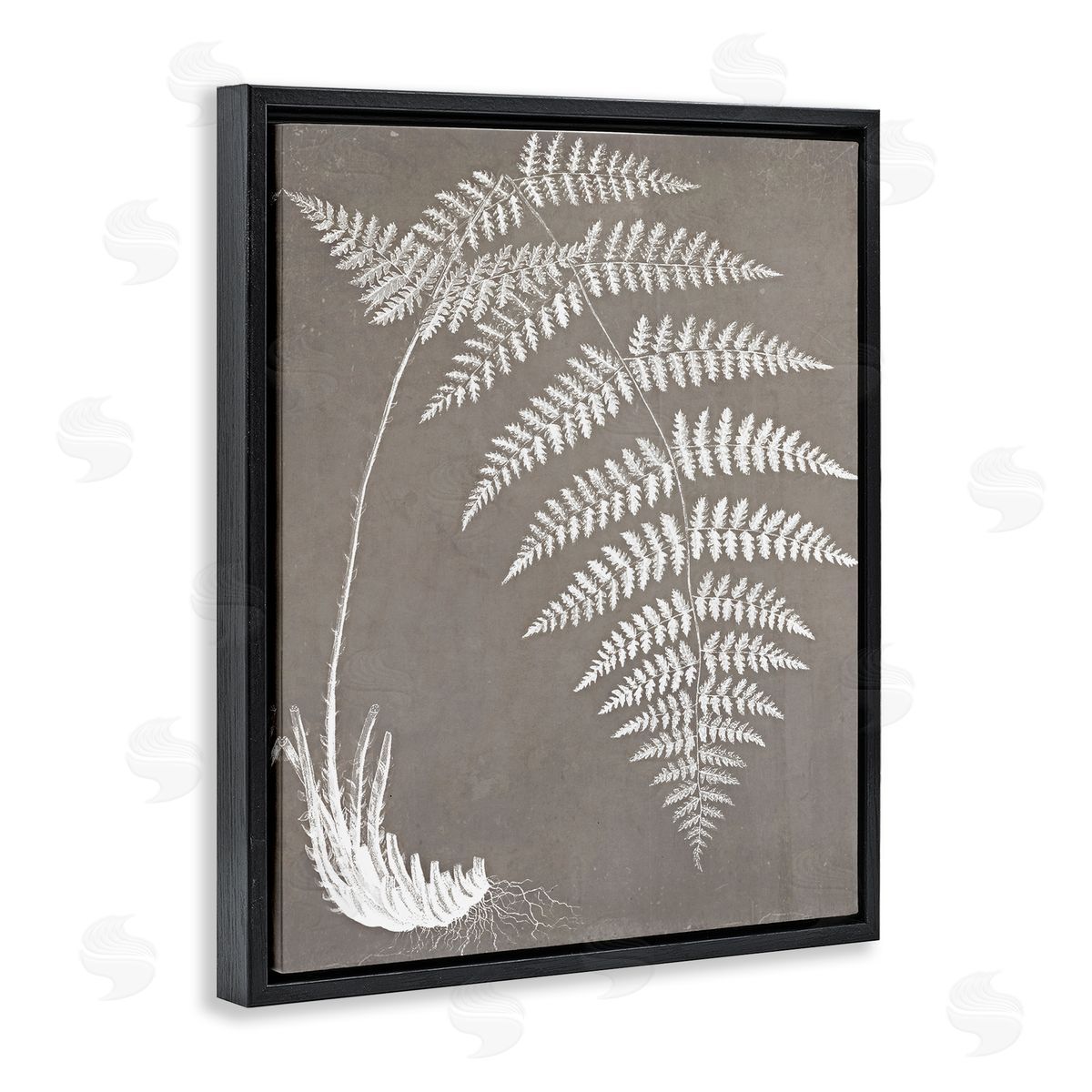 Graffitee Studios Fern Leaves Roots Growing Botanicals Neutral Tones Black Floating Frame Canvas Wall Art Print