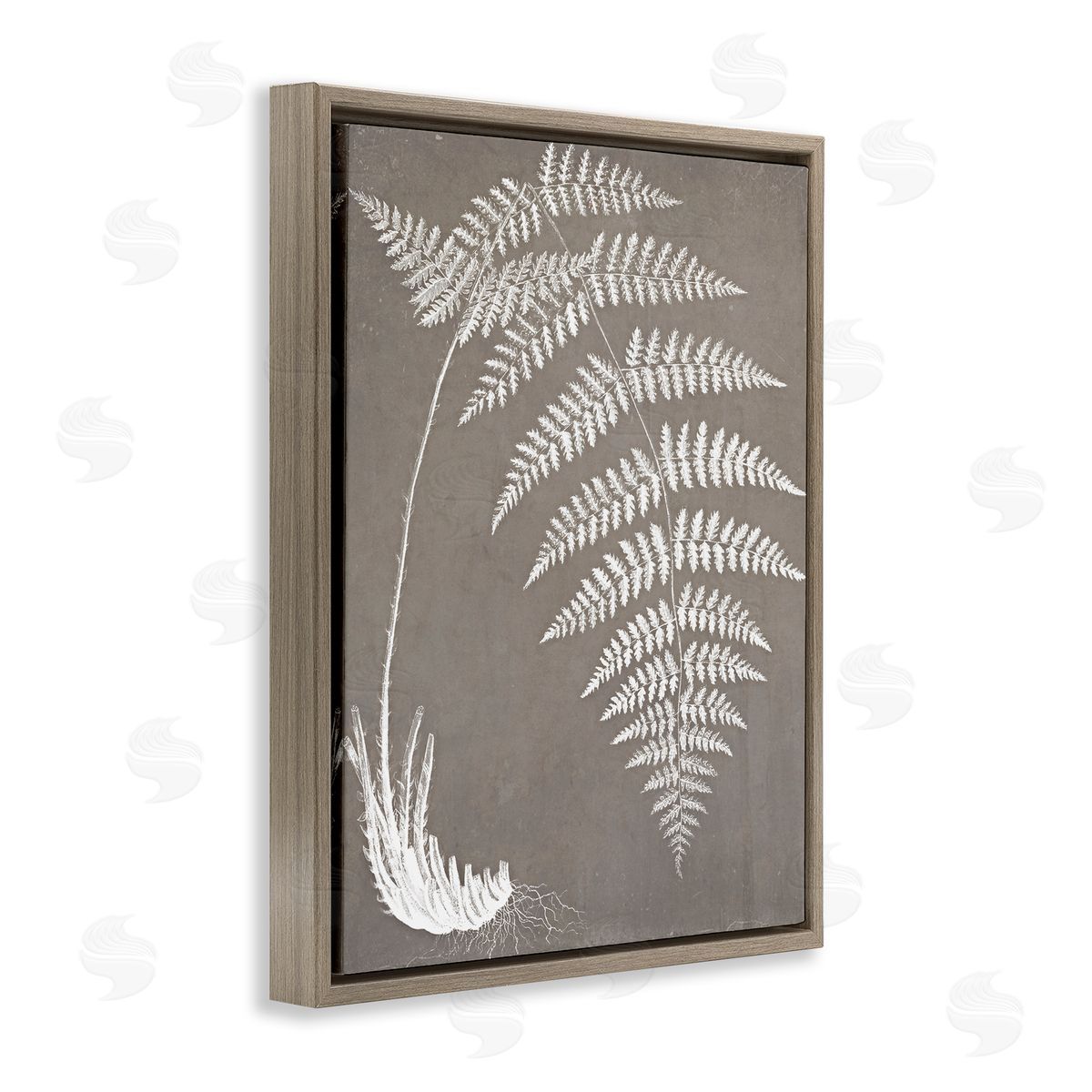 Graffitee Studios Fern Leaves Roots Growing Botanicals Neutral Tones Brown Floating Frame Canvas Wall Art Print