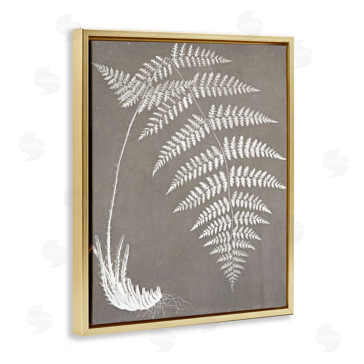 Graffitee Studios Fern Leaves Roots Growing Botanicals Neutral Tones Gold Floating Frame Canvas Wall Art Print