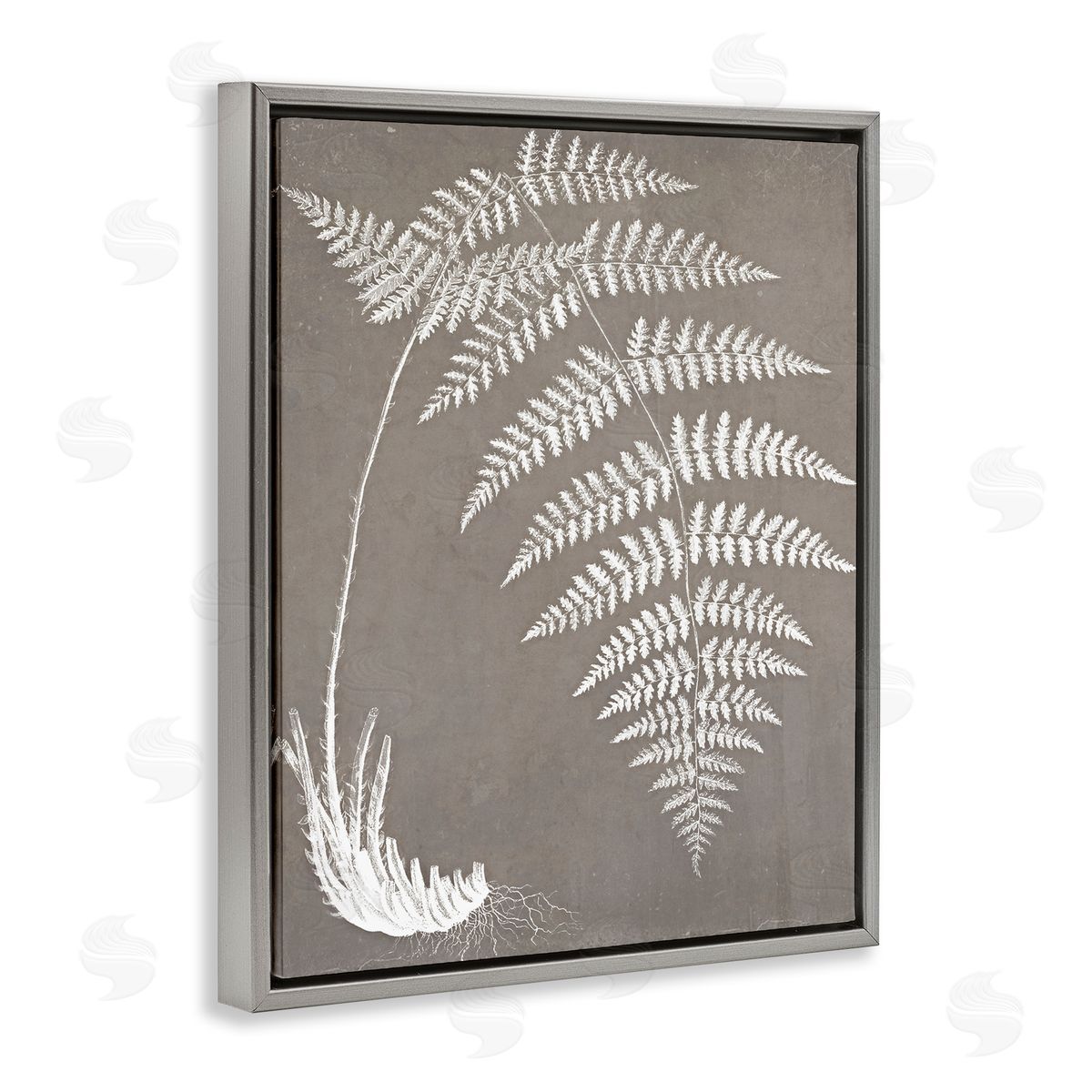 Graffitee Studios Fern Leaves Roots Growing Botanicals Neutral Tones Gray Floating Frame Canvas Wall Art Print