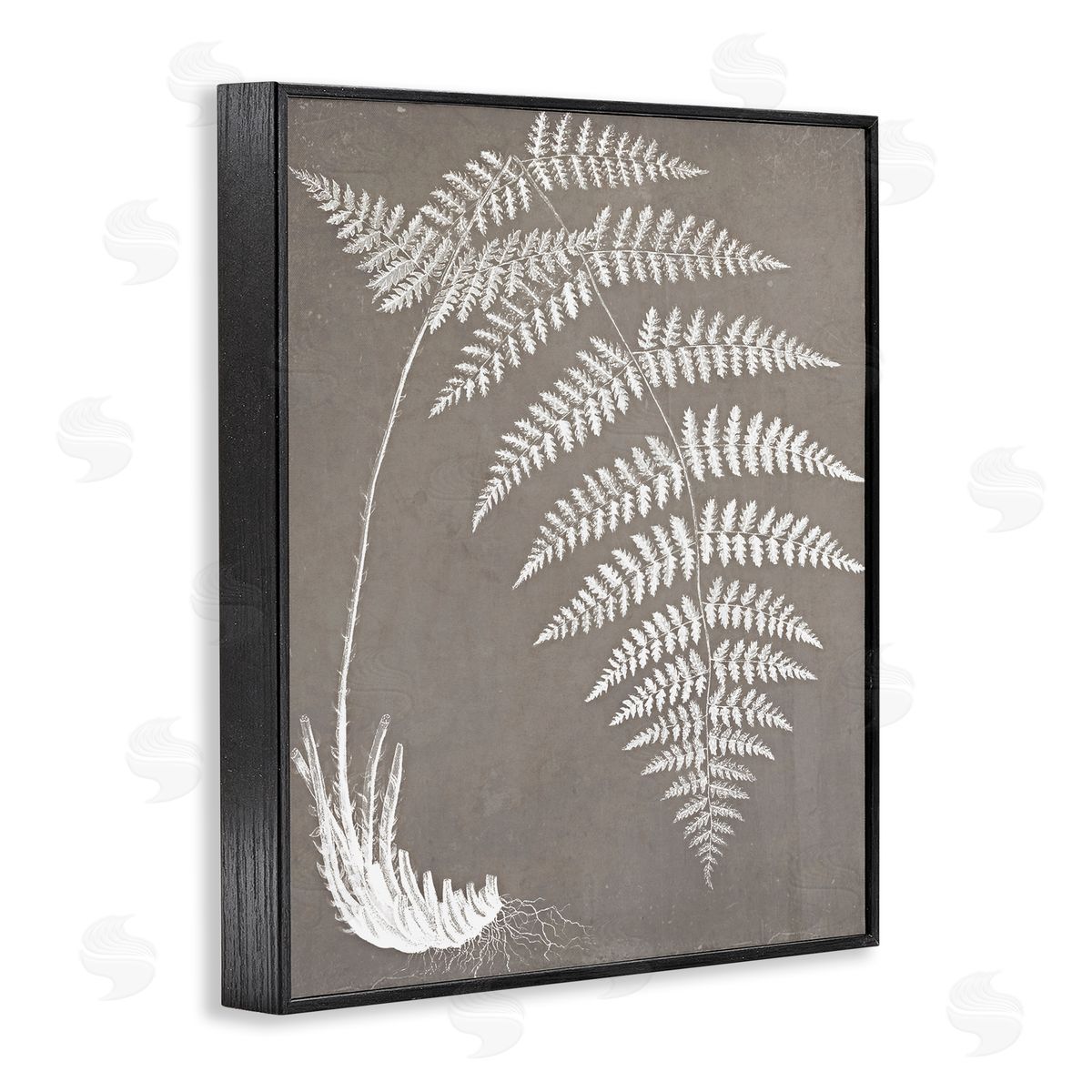 Graffitee Studios Fern Leaves Roots Growing Botanicals Neutral Tones Black Framed Giclee Wall Art Print