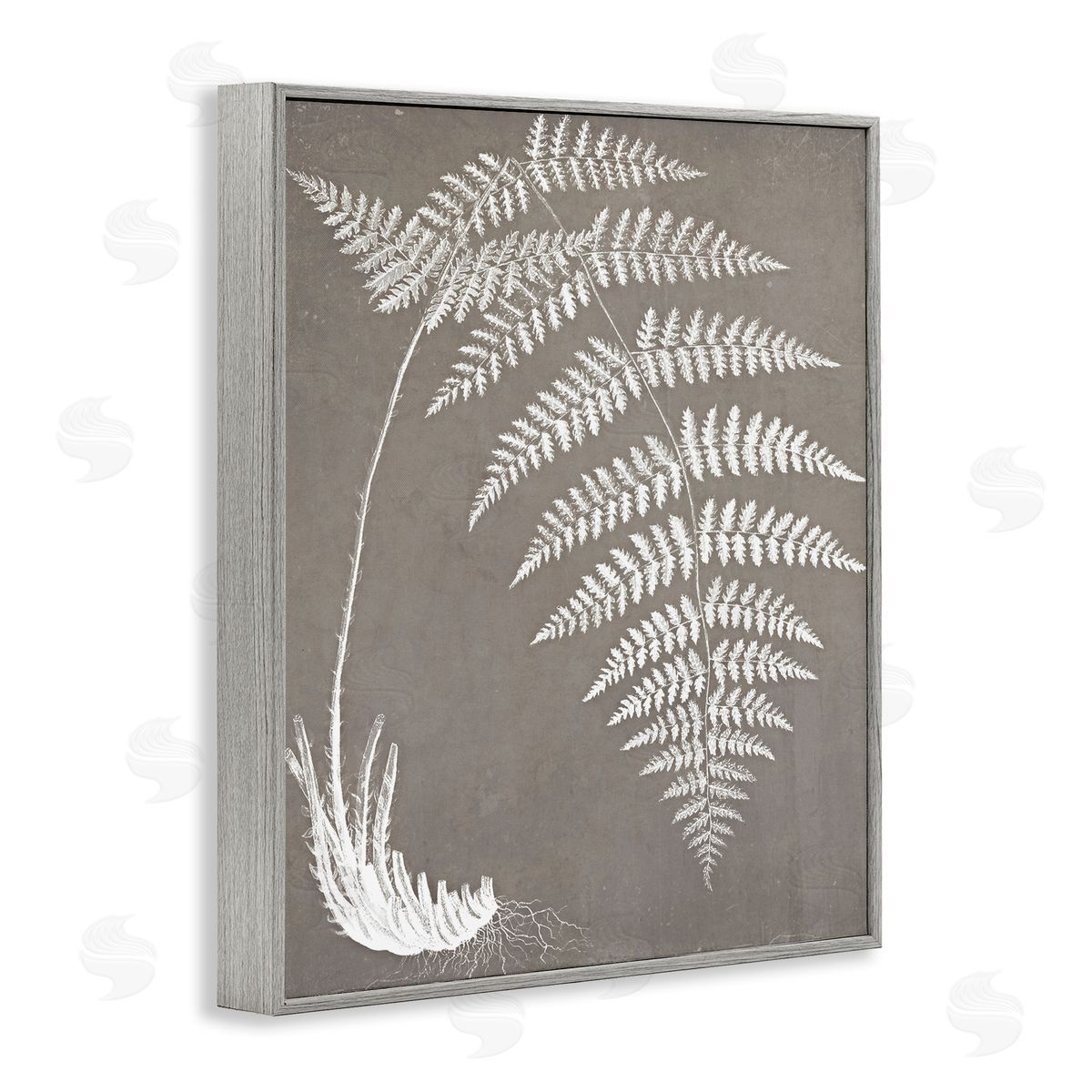 Graffitee Studios Fern Leaves Roots Growing Botanicals Neutral Tones Gray Framed Giclee Wall Art Print