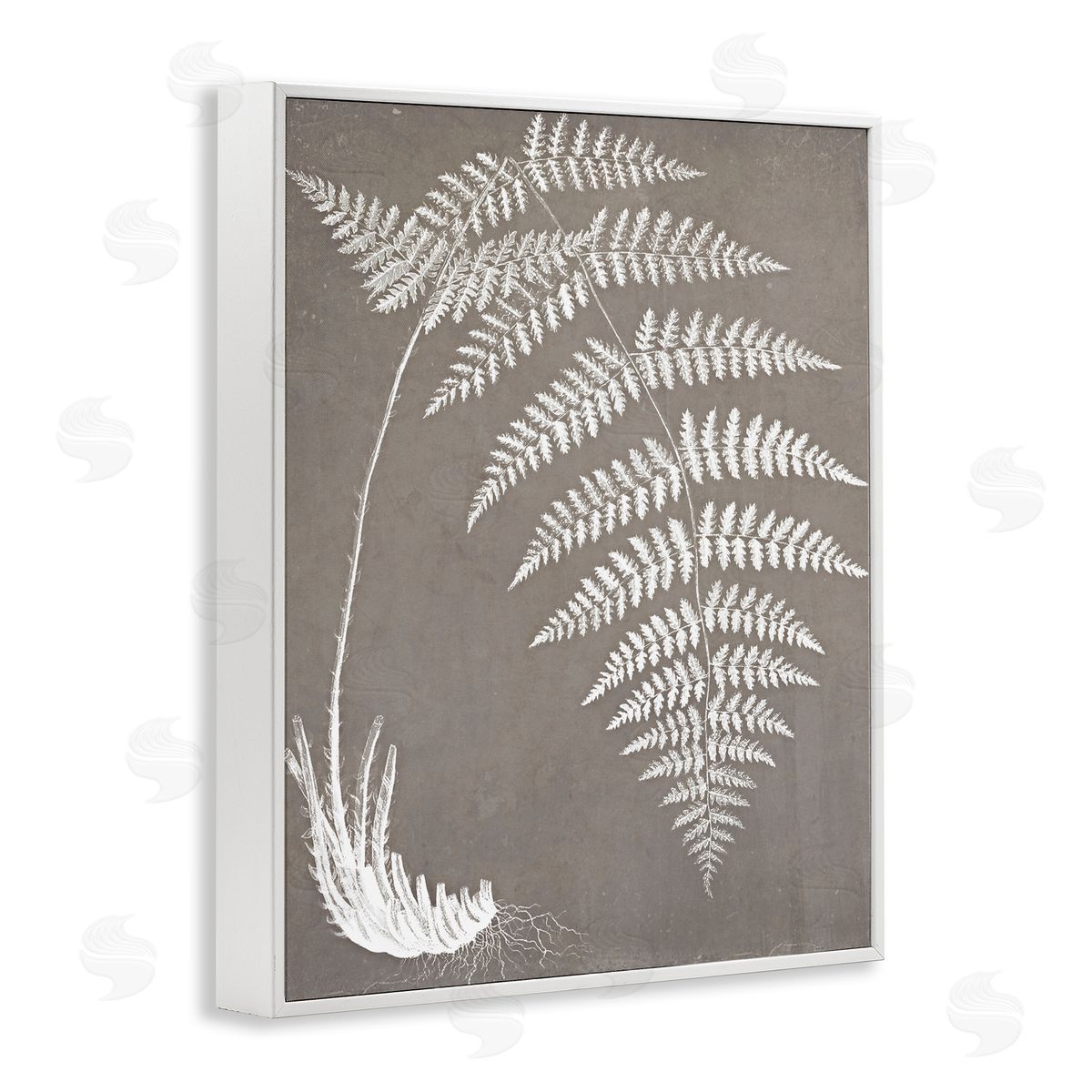 Graffitee Studios Fern Leaves Roots Growing Botanicals Neutral Tones White Framed Giclee Wall Art Print