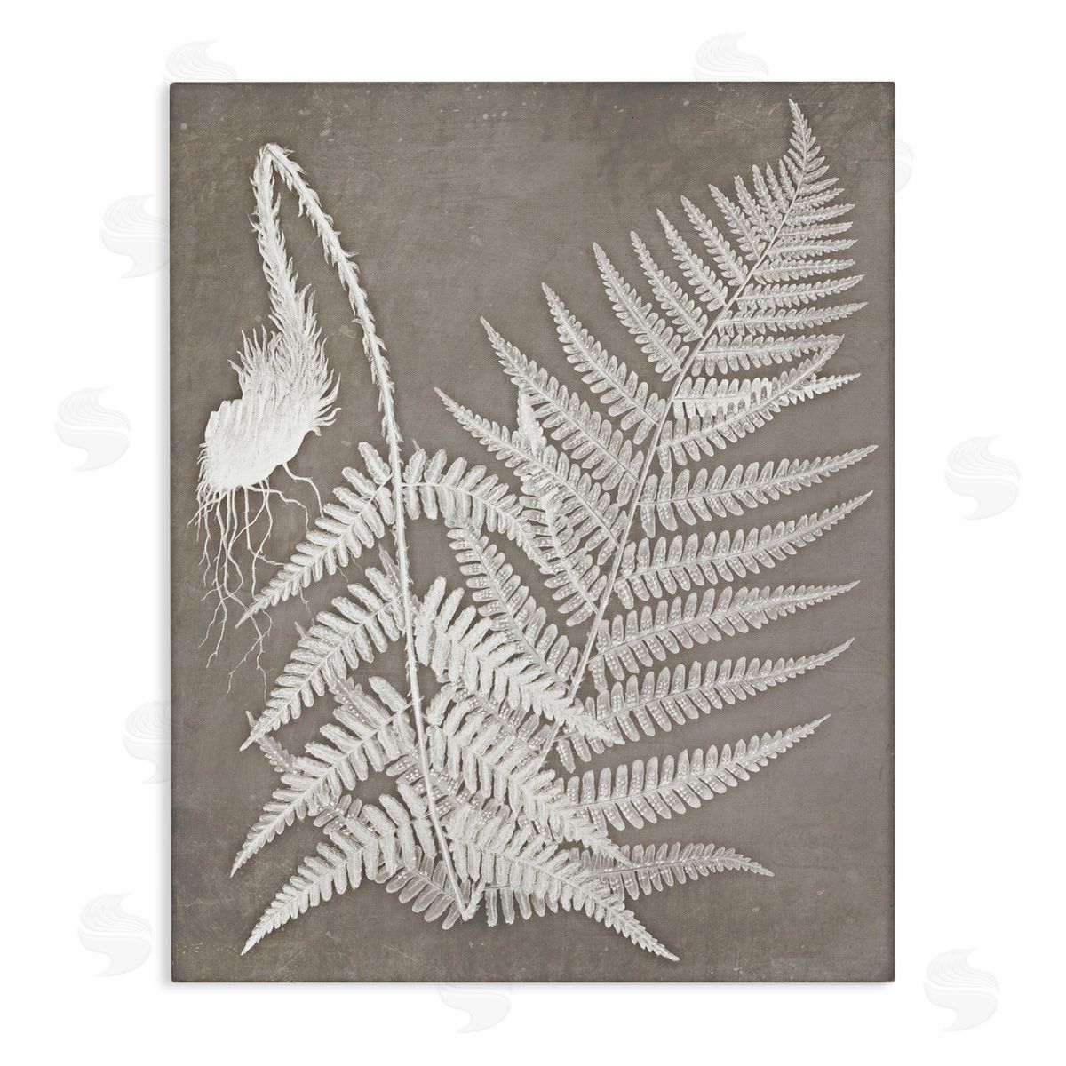 Graffitee Studios Layered Botanicals Fern Leaves Nature Vegetation  Stretched Canvas Wall Art Print