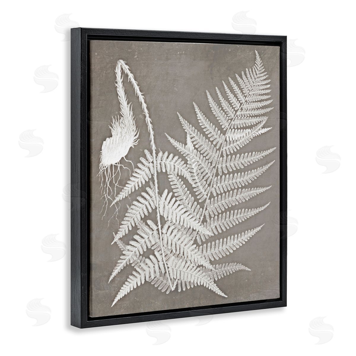 Graffitee Studios Layered Botanicals Fern Leaves Nature Vegetation  Black Floating Frame Canvas Wall Art Print