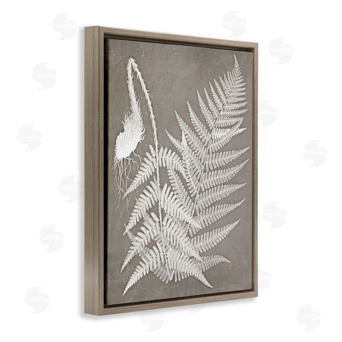 Graffitee Studios Layered Botanicals Fern Leaves Nature Vegetation  Brown Floating Frame Canvas Wall Art Print