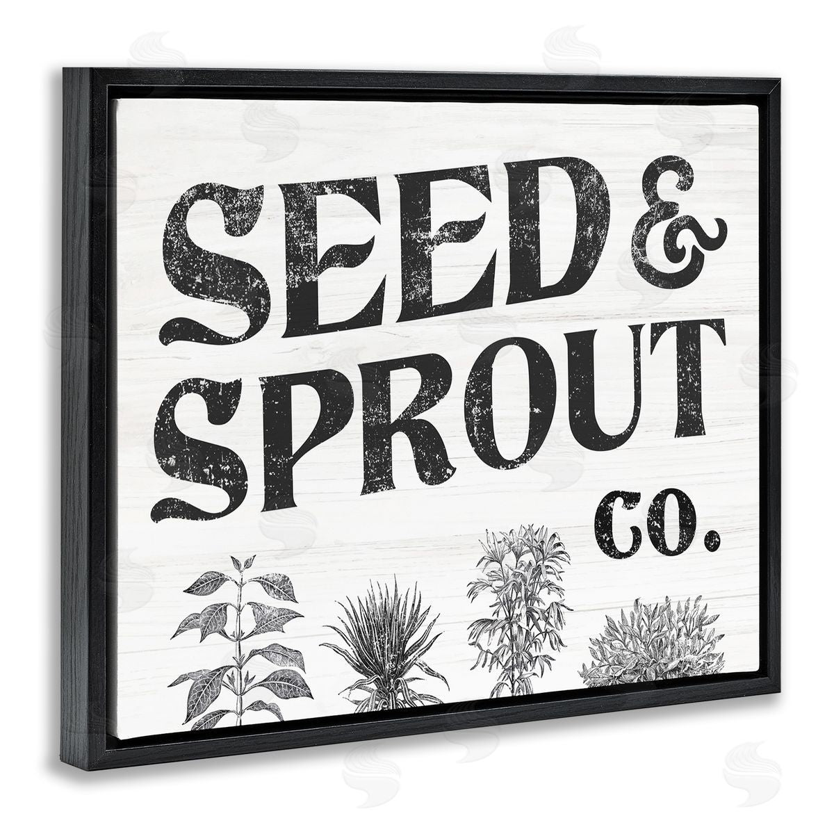 Stupell Studio Seed & Sprout Antique Botanicals Gardening Typography  Black Floating Frame Canvas Wall Art Print