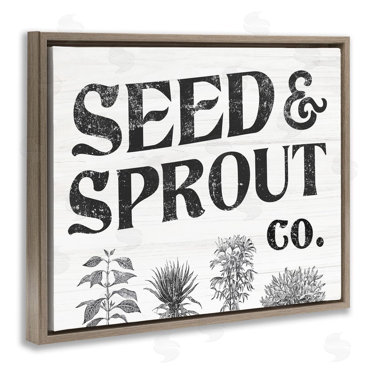 Stupell Studio Seed & Sprout Antique Botanicals Gardening Typography  Brown Floating Frame Canvas Wall Art Print
