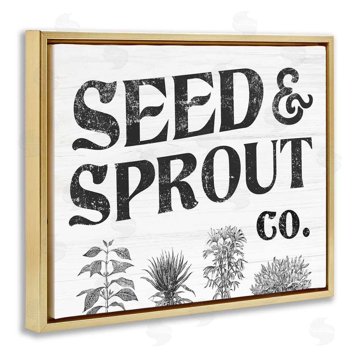 Stupell Studio Seed & Sprout Antique Botanicals Gardening Typography  Gold Floating Frame Canvas Wall Art Print