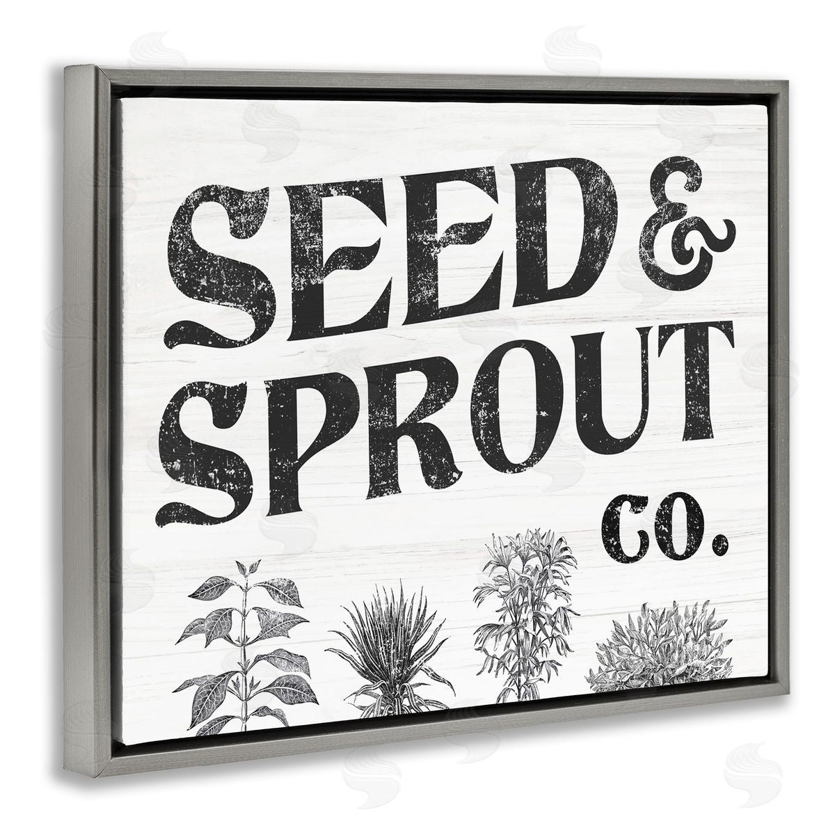 Stupell Studio Seed & Sprout Antique Botanicals Gardening Typography  Gray Floating Frame Canvas Wall Art Print