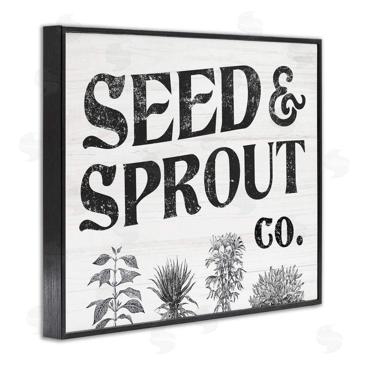 Stupell Studio Seed & Sprout Antique Botanicals Gardening Typography  Black Framed Giclee Wall Art Print