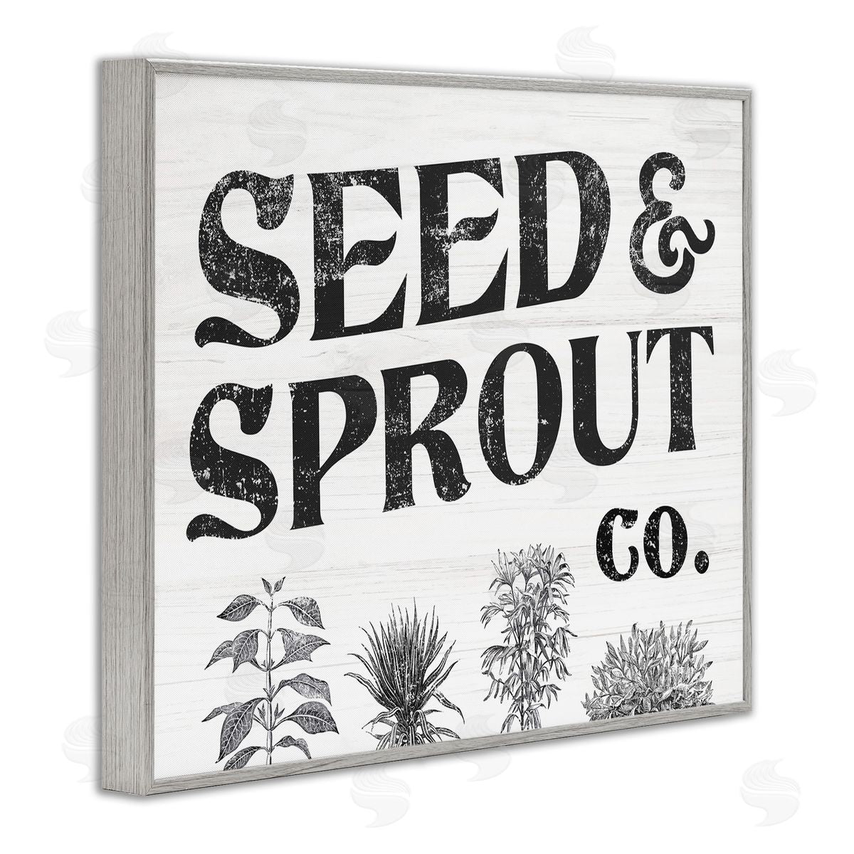 Stupell Studio Seed & Sprout Antique Botanicals Gardening Typography  Gray Framed Giclee Wall Art Print