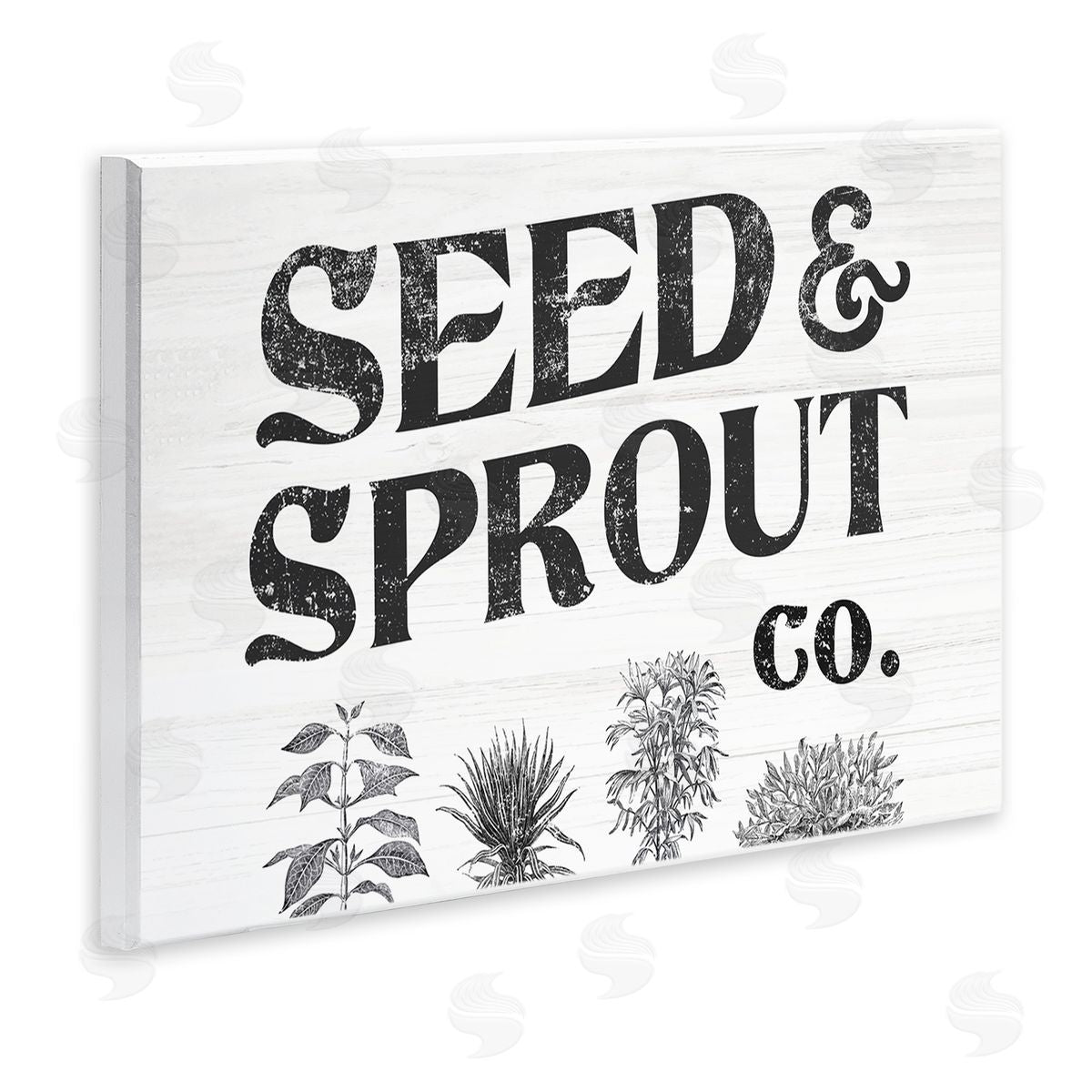 Stupell Studio Seed & Sprout Antique Botanicals Gardening Typography  Wall Plaque Art Print