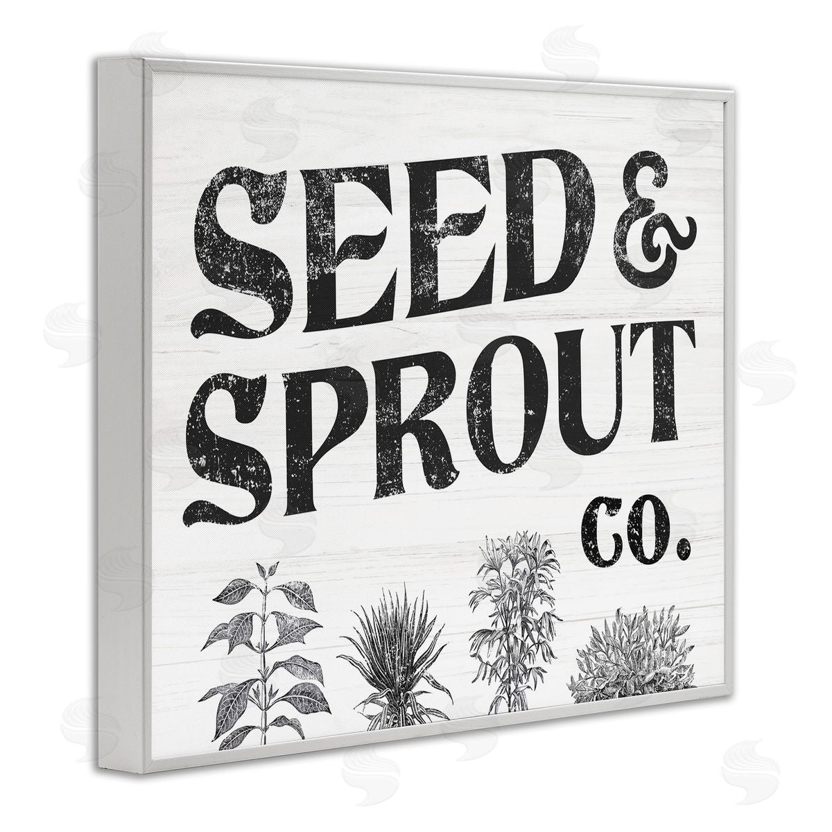Stupell Studio Seed & Sprout Antique Botanicals Gardening Typography  White Framed Giclee Wall Art Print