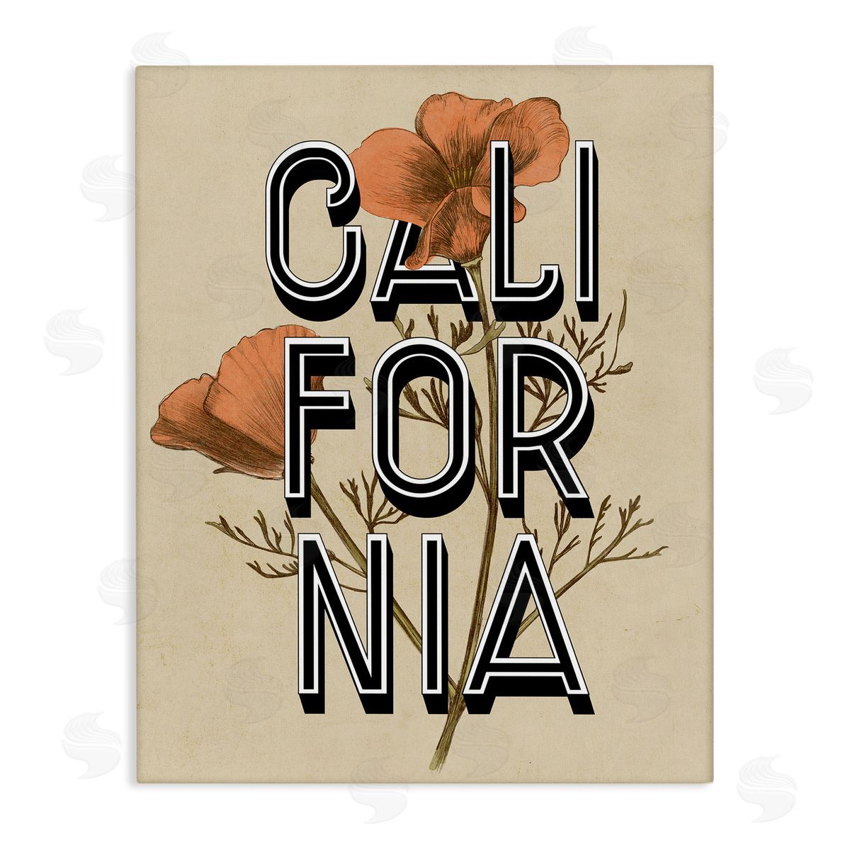 Stupell Studio California State Floral Typography Poppy Sprig Blossom Stretched Canvas Wall Art Print