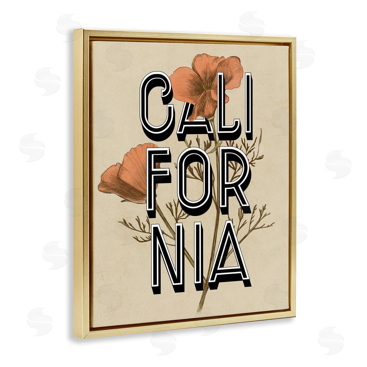 Stupell Studio California State Floral Typography Poppy Sprig Blossom Gold Floating Frame Canvas Wall Art Print