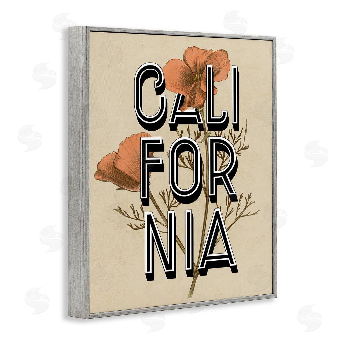 Stupell Studio California State Floral Typography Poppy Sprig Blossom Gray Framed Giclee Wall Art Print