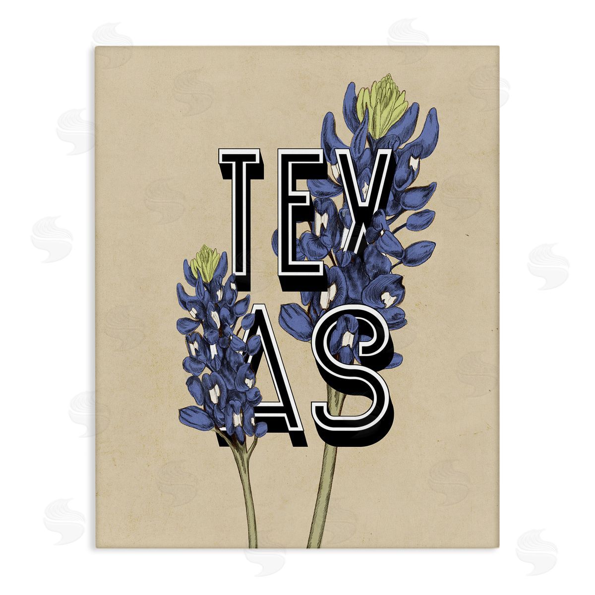 Stupell Studio Texas State Flower Bluebonnet Plant Sprigs Typography  Stretched Canvas Wall Art Print