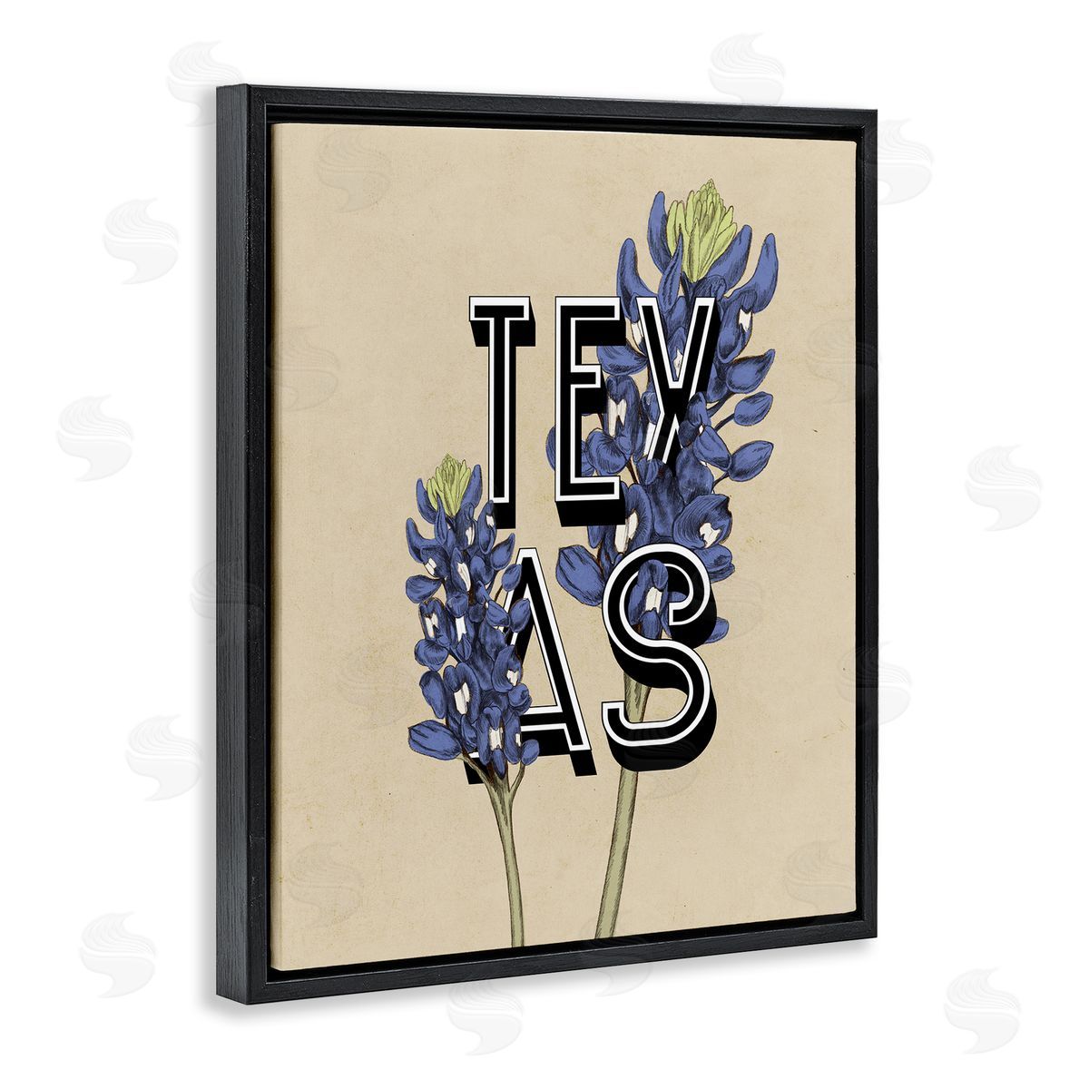Stupell Studio Texas State Flower Bluebonnet Plant Sprigs Typography  Black Floating Frame Canvas Wall Art Print