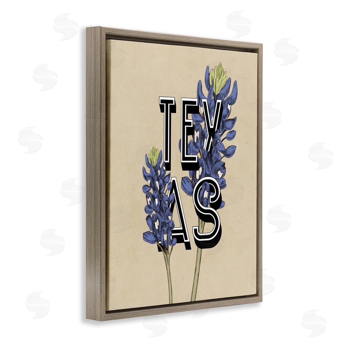 Stupell Studio Texas State Flower Bluebonnet Plant Sprigs Typography  Brown Floating Frame Canvas Wall Art Print