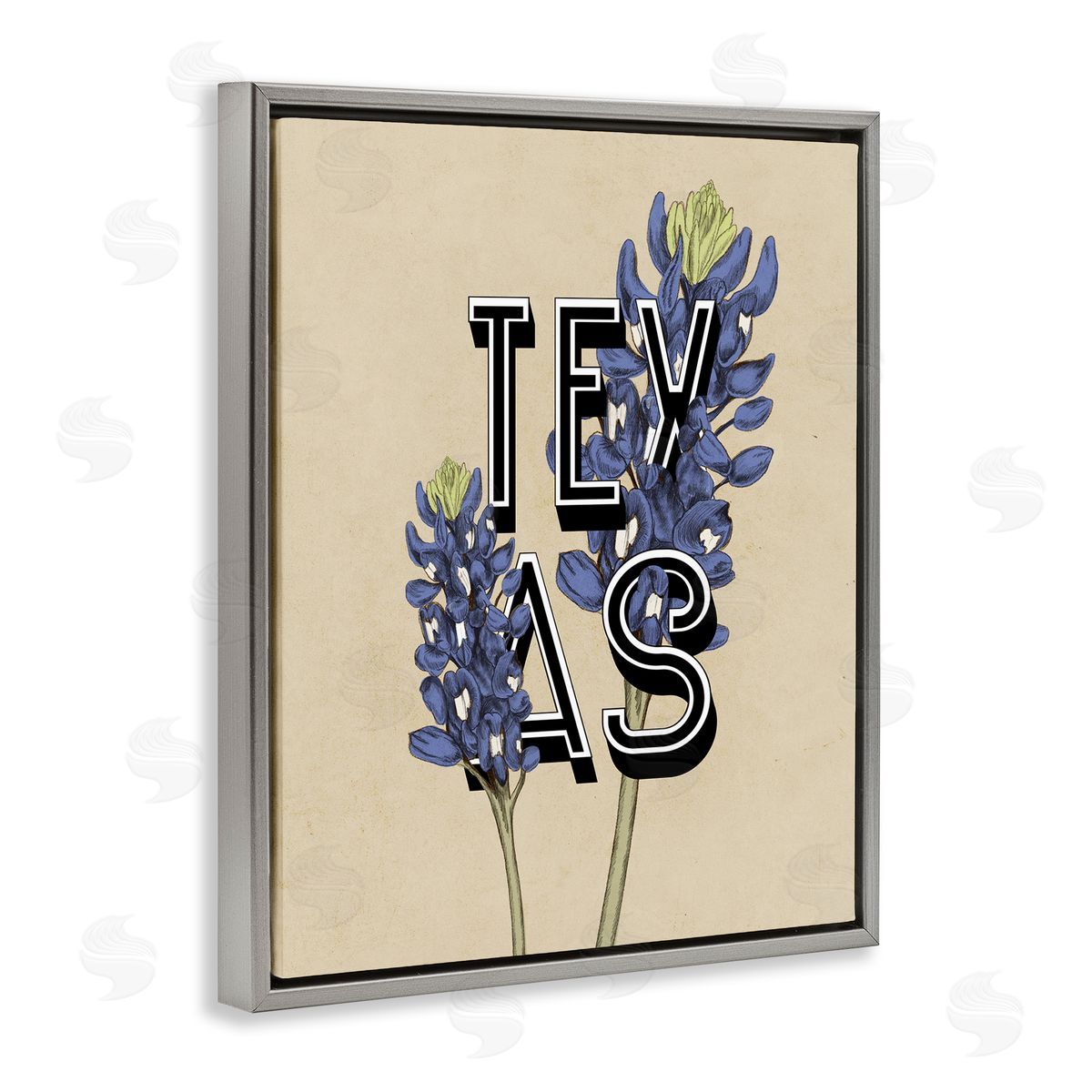 Stupell Studio Texas State Flower Bluebonnet Plant Sprigs Typography  Gray Floating Frame Canvas Wall Art Print