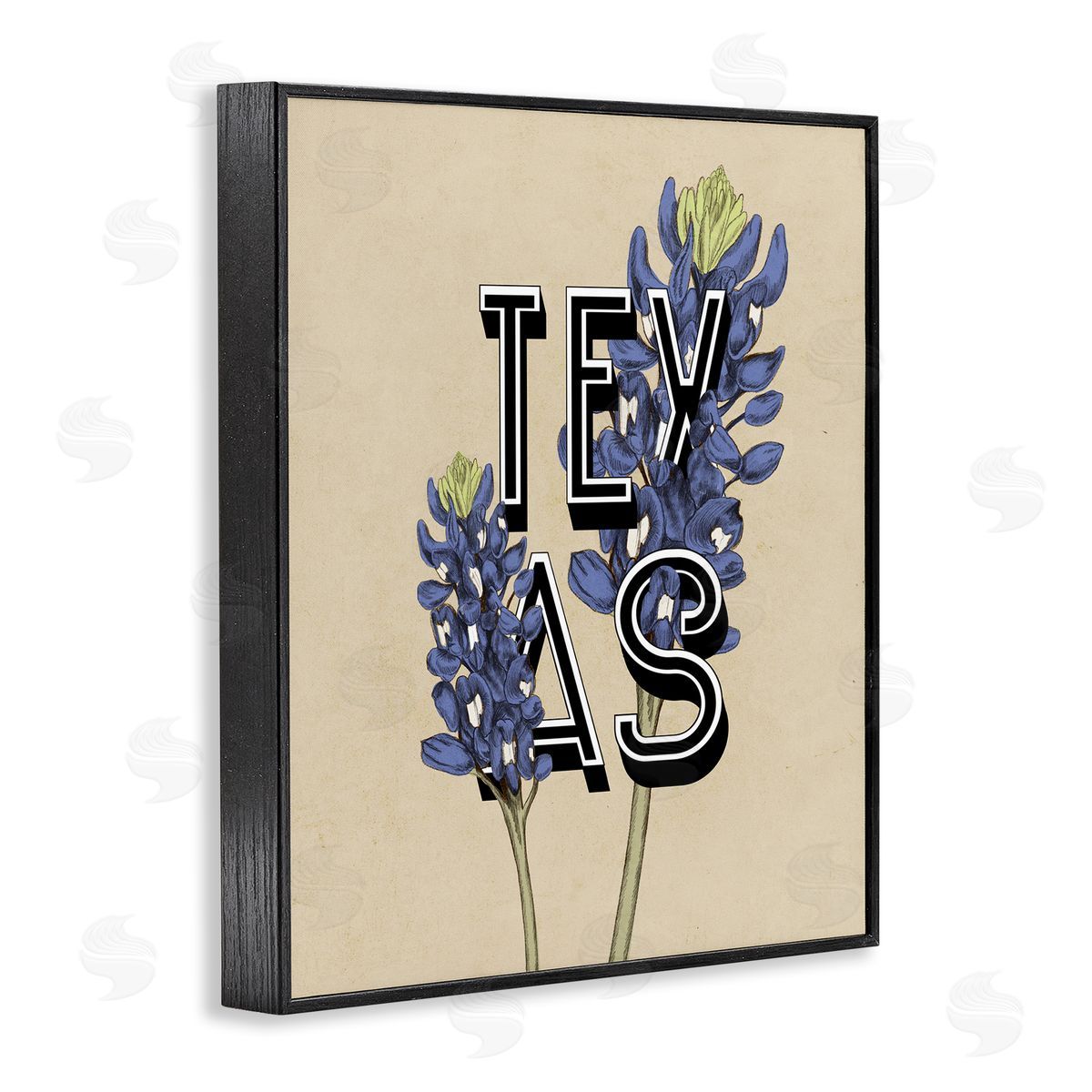 Stupell Studio Texas State Flower Bluebonnet Plant Sprigs Typography  Black Framed Giclee Wall Art Print