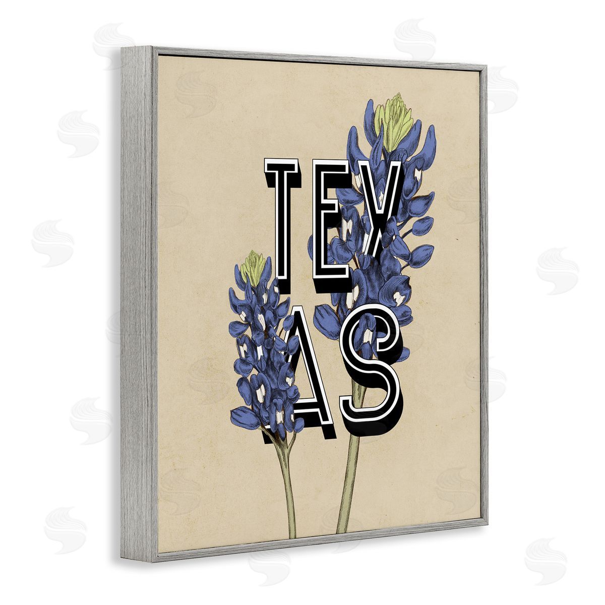 Stupell Studio Texas State Flower Bluebonnet Plant Sprigs Typography  Gray Framed Giclee Wall Art Print