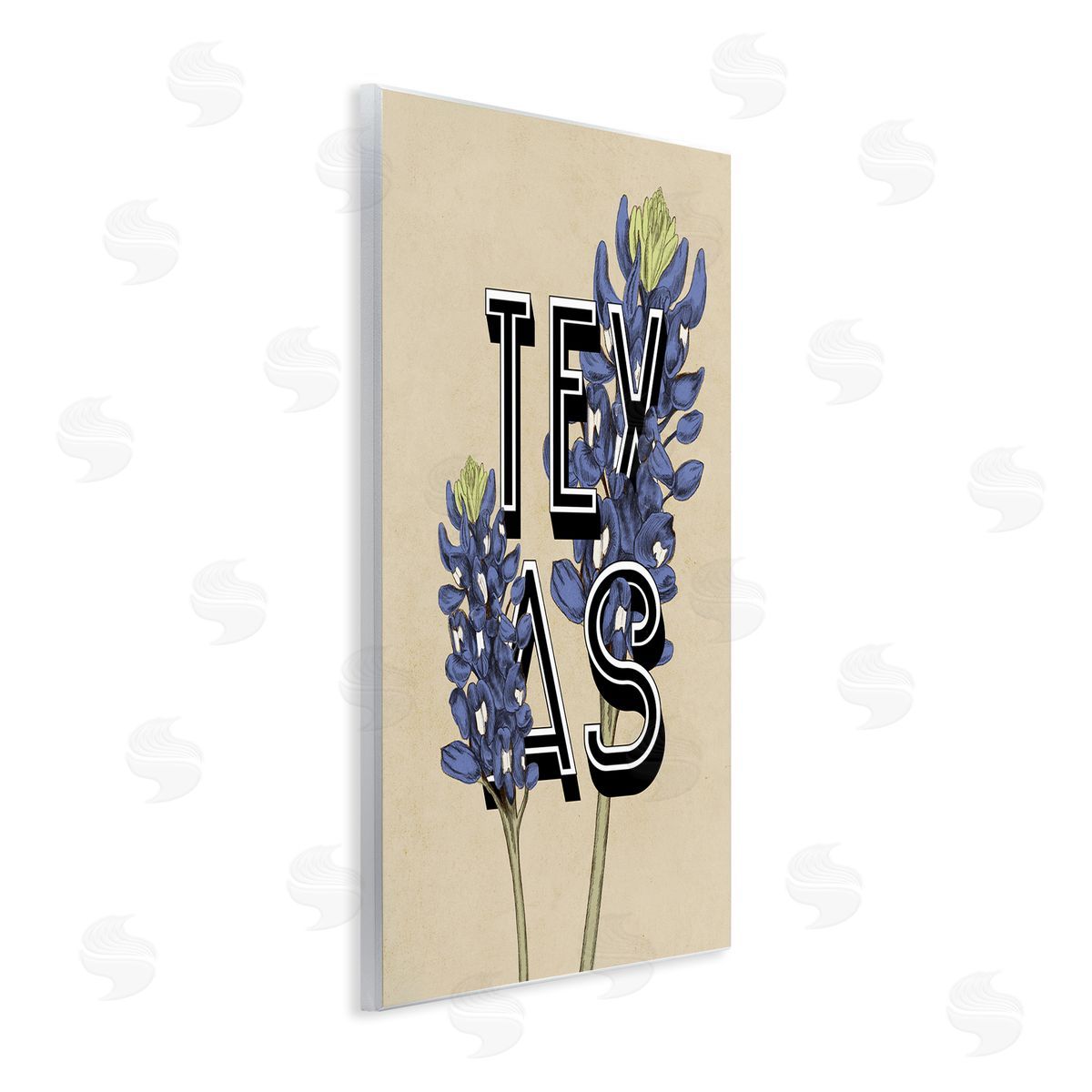 Stupell Studio Texas State Flower Bluebonnet Plant Sprigs Typography  Wall Plaque Art Print