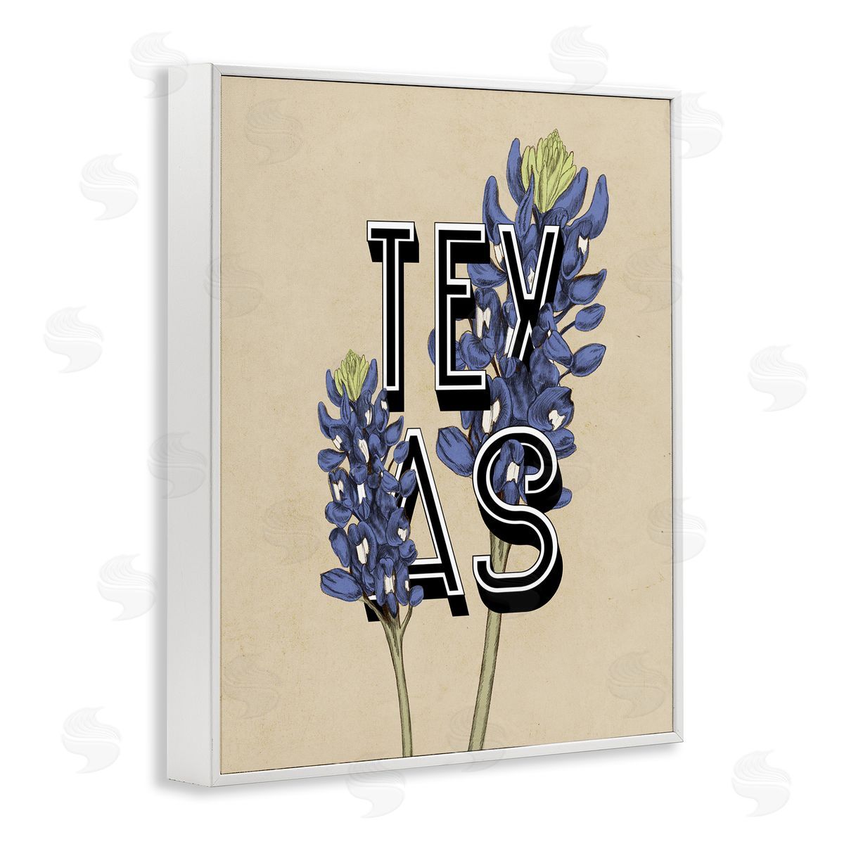 Stupell Studio Texas State Flower Bluebonnet Plant Sprigs Typography  White Framed Giclee Wall Art Print