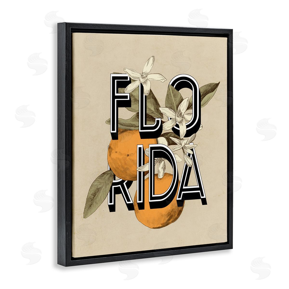 Stupell Studio Florida Orange Blossoms State Flower Typography  Black Floating Frame Canvas Wall Art Print