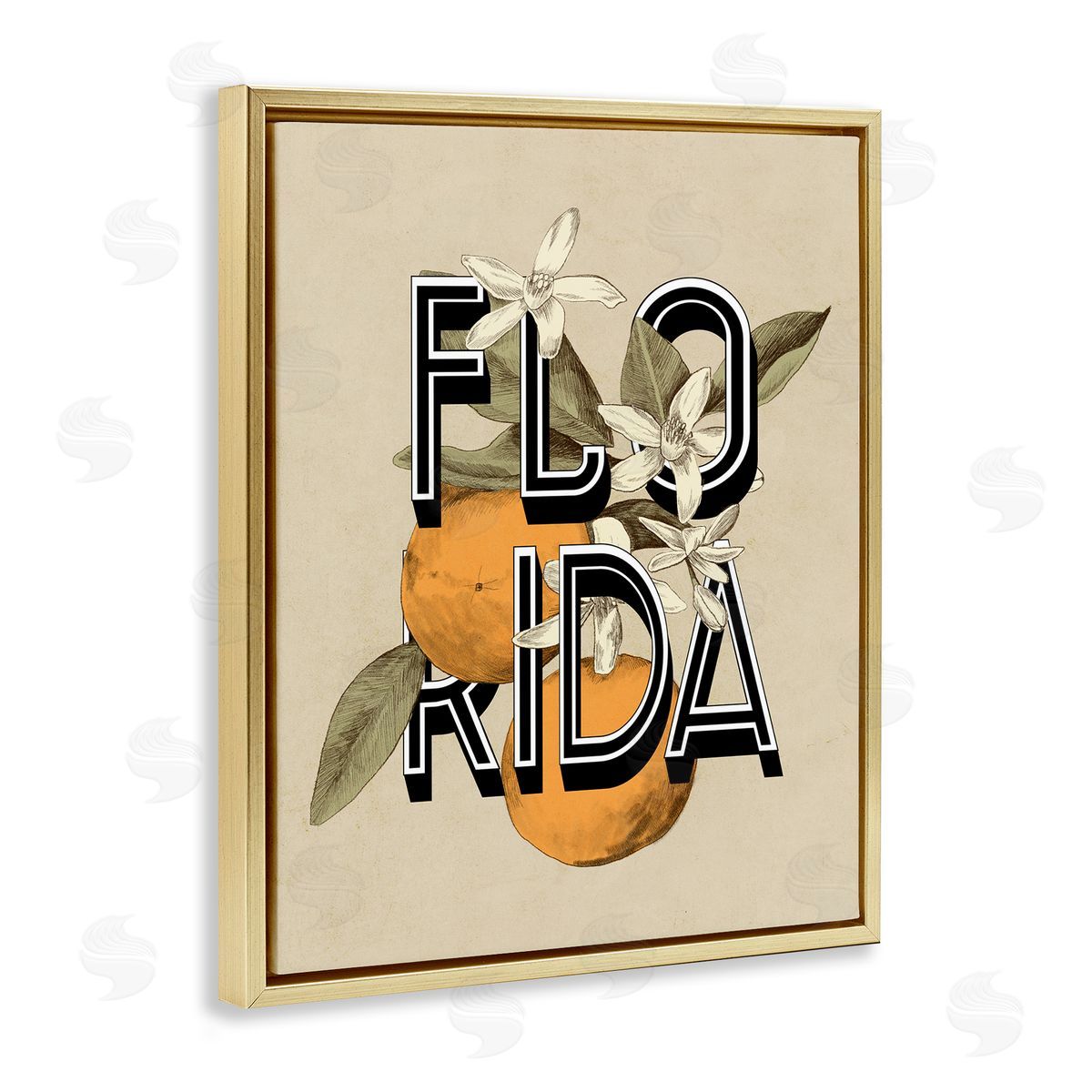 Stupell Studio Florida Orange Blossoms State Flower Typography  Gold Floating Frame Canvas Wall Art Print