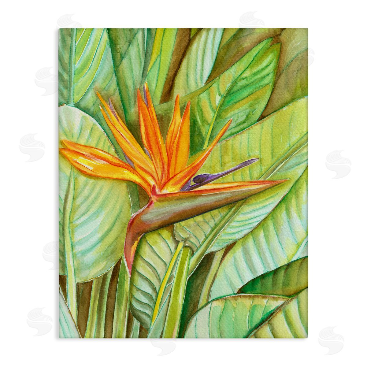 Elvira Errico Bird of Paradise Flower Leaf Petals Blooming  Stretched Canvas Wall Art Print