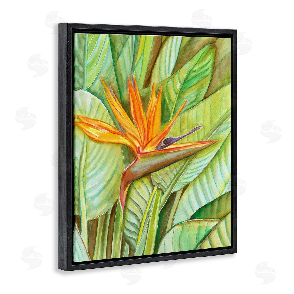 Elvira Errico Bird of Paradise Flower Leaf Petals Blooming  Black Floating Frame Canvas Wall Art Print
