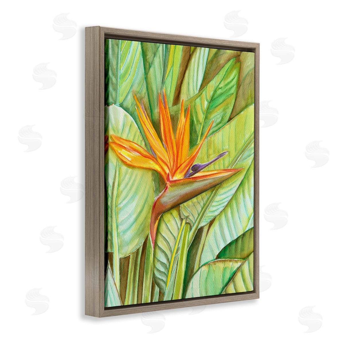 Elvira Errico Bird of Paradise Flower Leaf Petals Blooming  Brown Floating Frame Canvas Wall Art Print