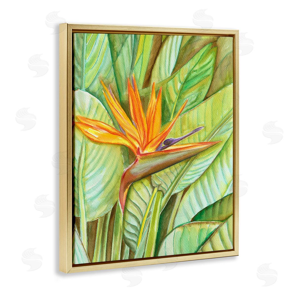 Elvira Errico Bird of Paradise Flower Leaf Petals Blooming  Gold Floating Frame Canvas Wall Art Print