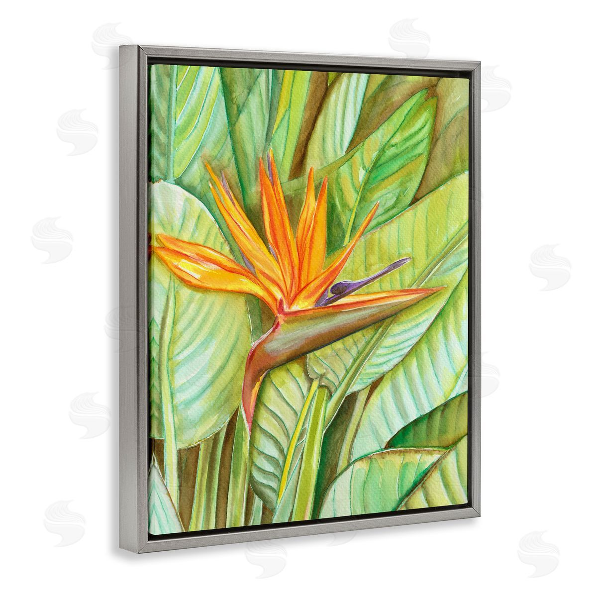 Elvira Errico Bird of Paradise Flower Leaf Petals Blooming  Gray Floating Frame Canvas Wall Art Print