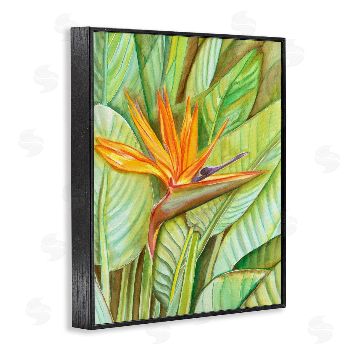 Elvira Errico Bird of Paradise Flower Leaf Petals Blooming  Black Framed Giclee Wall Art Print
