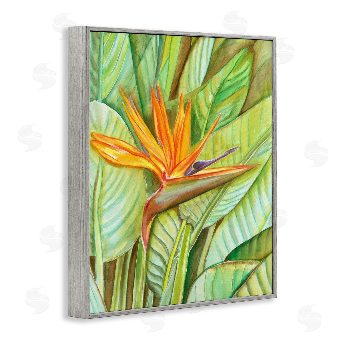 Elvira Errico Bird of Paradise Flower Leaf Petals Blooming  Gray Framed Giclee Wall Art Print