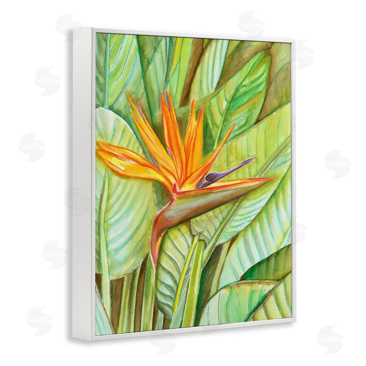 Elvira Errico Bird of Paradise Flower Leaf Petals Blooming  White Framed Giclee Wall Art Print