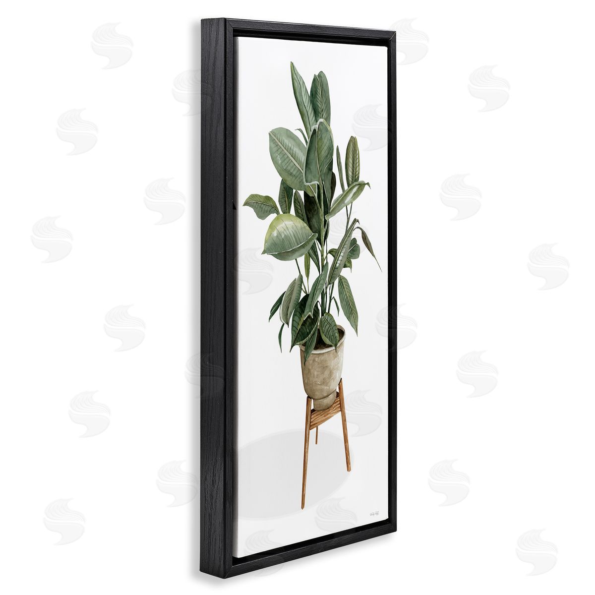 Cindy Jacobs Lush Green Potted House Plant Round Leaves