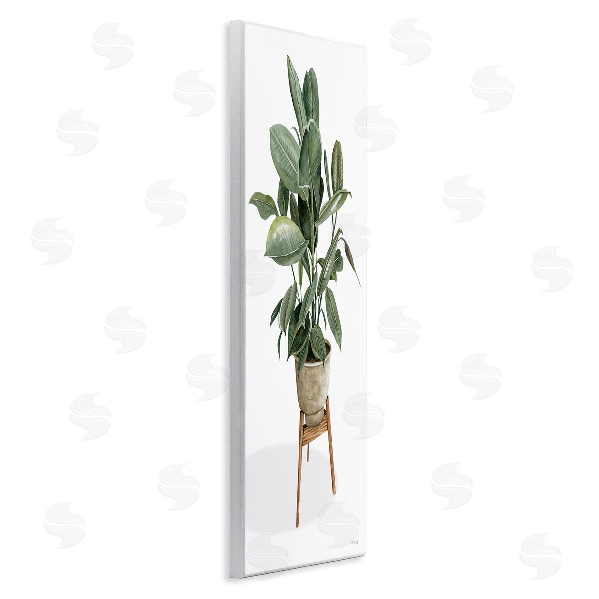 Cindy Jacobs Lush Green Potted House Plant Round Leaves