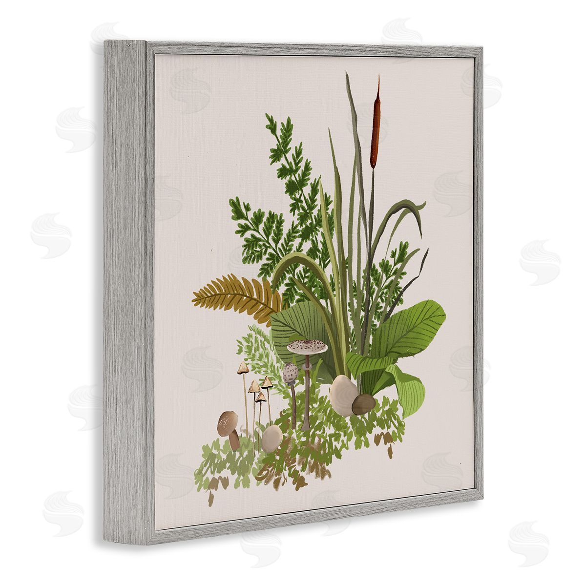 House of Rose Cottage Botanicals Plants Mushrooms Ferns Forest Floor Gray Framed Glicee Wall Art Print