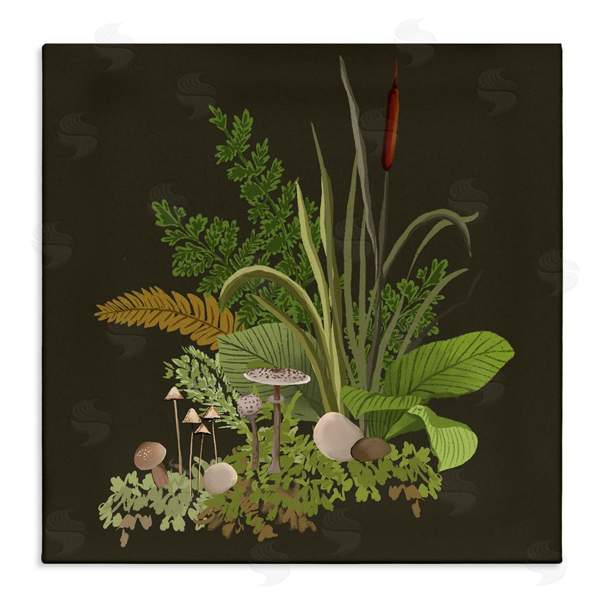 House of Rose Forest Botanicals Plants Ferns Mushrooms Sprouting Stretched Canvas Wall Art Print