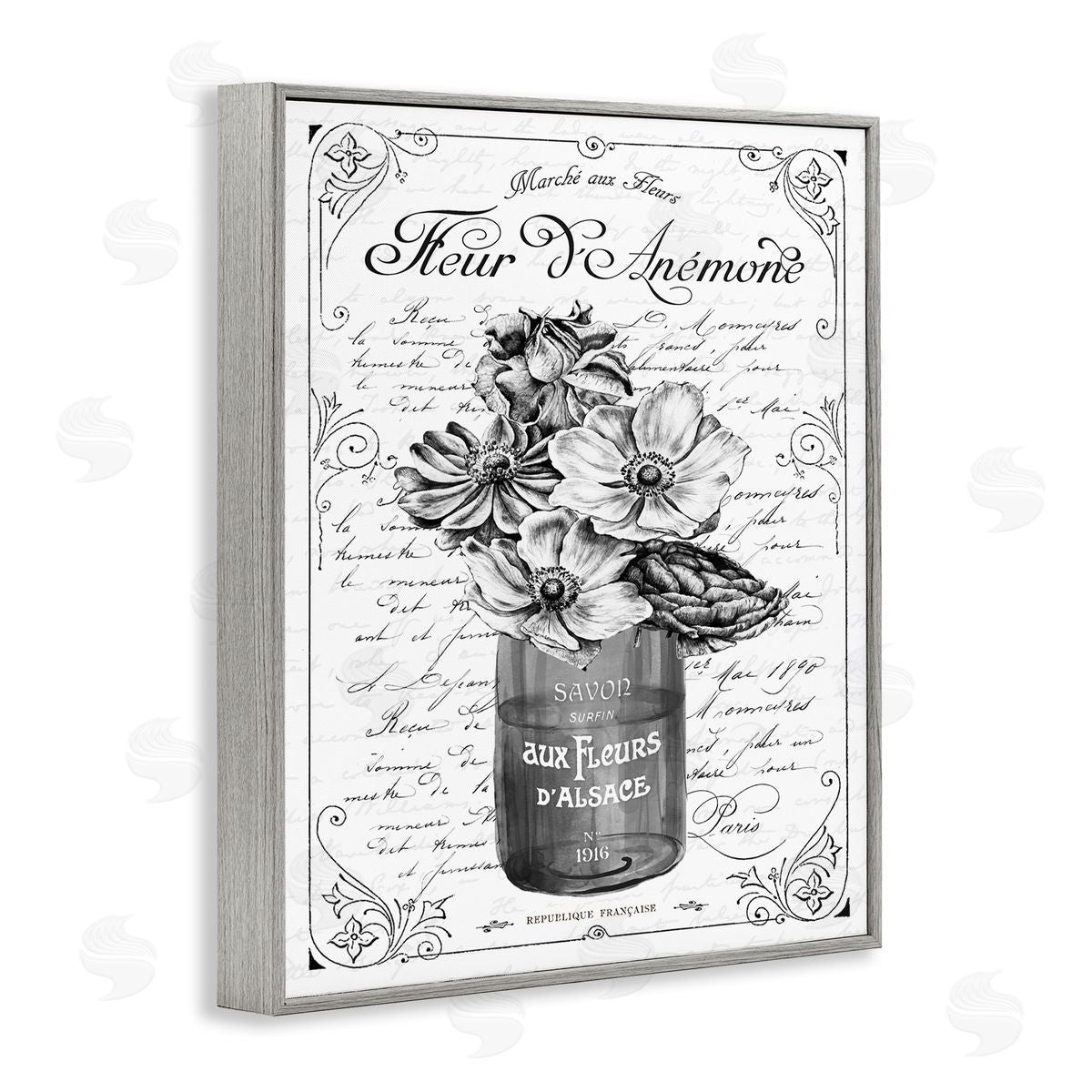 Lettered and Lined Anemone Flower French Text Fancy Floral Gray Framed Giclee Wall Art Print