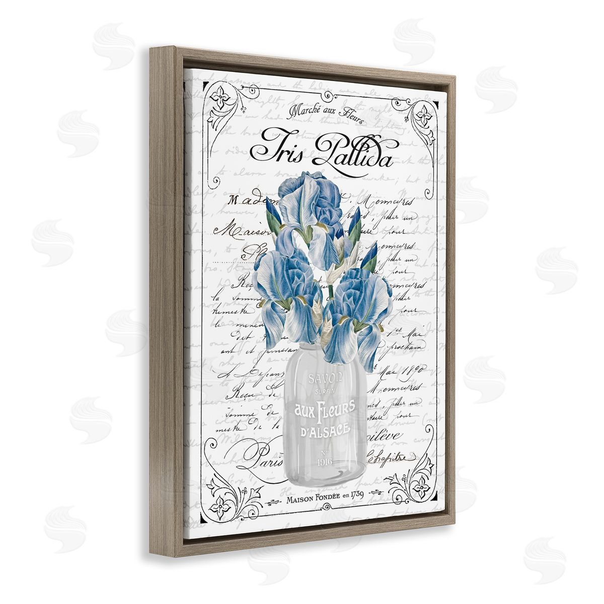 Lettered and Lined Delicate Iris Flower Bouquet Ornate French Script Brown Floating Frame Canvas Wall Art Print