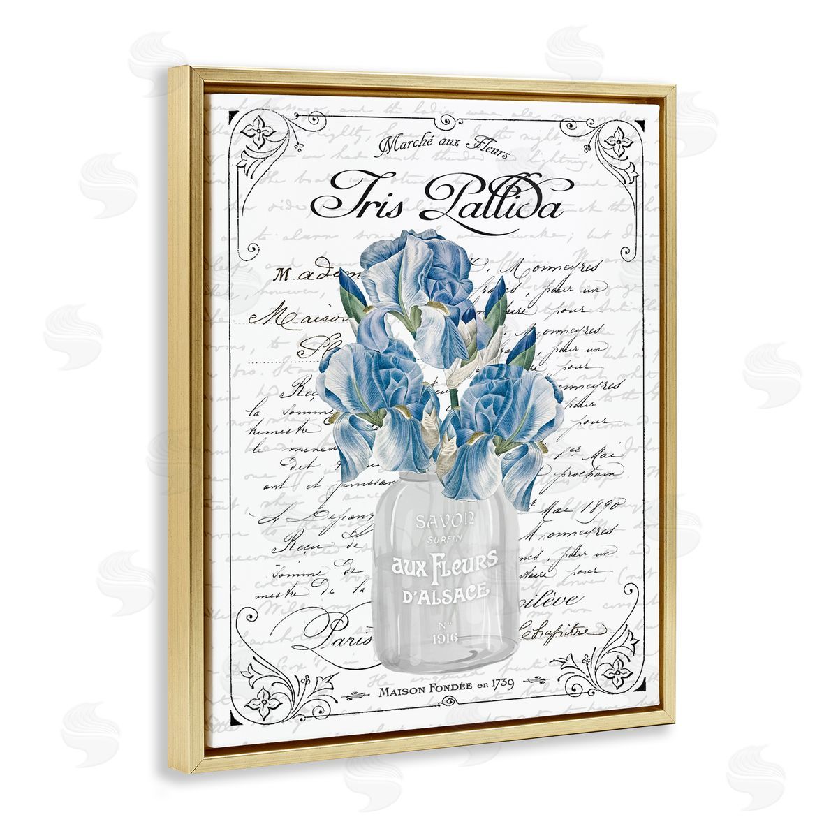 Lettered and Lined Delicate Iris Flower Bouquet Ornate French Script Gold Floating Frame Canvas Wall Art Print
