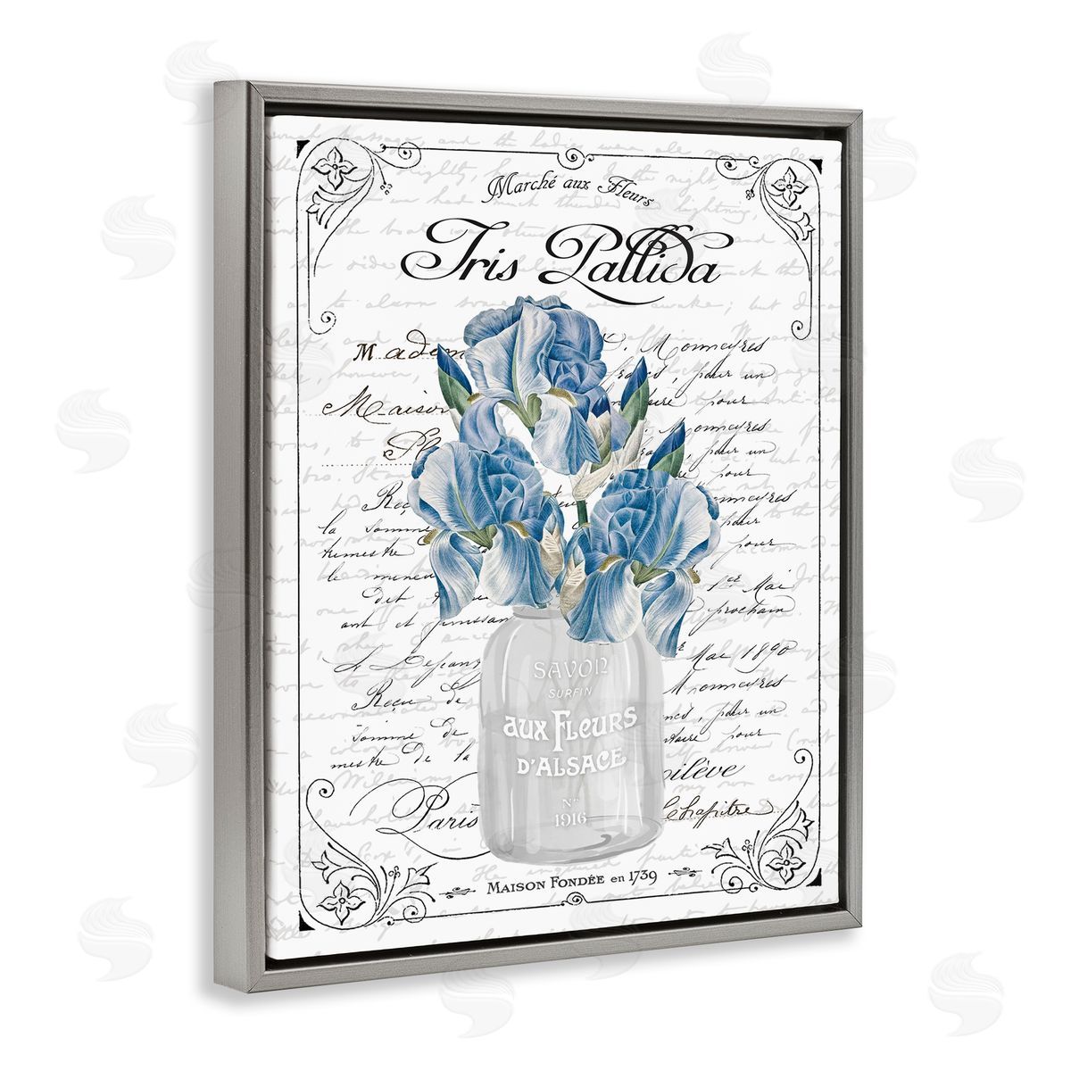 Lettered and Lined Delicate Iris Flower Bouquet Ornate French Script Gray Floating Frame Canvas Wall Art Print
