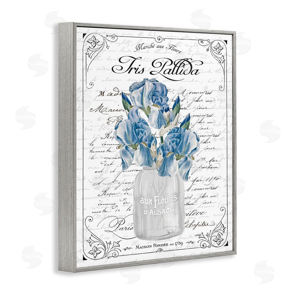 Lettered and Lined Delicate Iris Flower Bouquet Ornate French Script Gray Framed Giclee Wall Art Print
